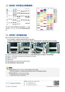 生工生物tris預(yù)制膠促銷 高效科研，省時省力