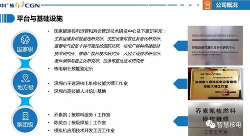 喜訊 公司成功通過國家高新技術(shù)企業(yè)認定，技術(shù)服務(wù)獲權(quán)威認可