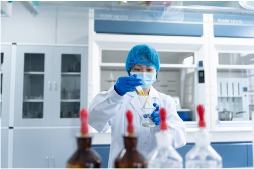 全產業鏈鑄就卓越品質，一站式服務賦能共贏未來——康西爺食品的技術服務之道